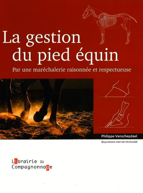 La gestion du pied équin